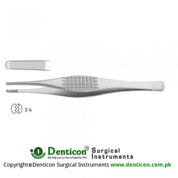 Ramsey Dissecting Forceps 3 x 4 Teeth Stainless Steel, 18 cm - 7"